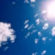Raru.