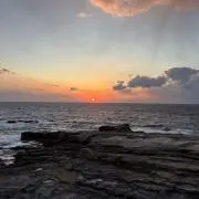 しのりんの画像