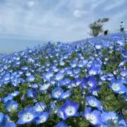 ゆっき〜の