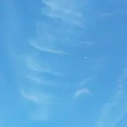 あおじるの画像