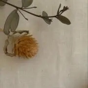 amyuの画像