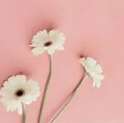 ・×・の画像
