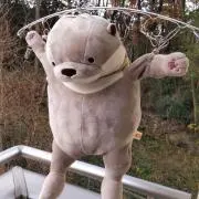 はる