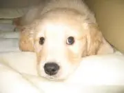 K♡Mの画像