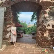 Rの画像