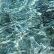 sの画像
