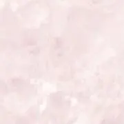 はちゃの画像