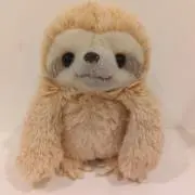 りっちゃんの画像