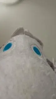 Tinの画像