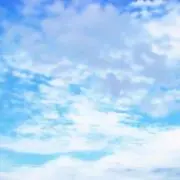 うさぎ