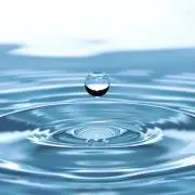 アクアの画像