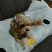 ここもたん♡
