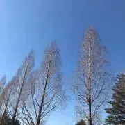 RED BEANSの画像