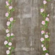 しゅいの画像