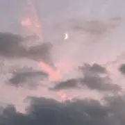 レイレイの画像