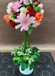 くっきーあんどくりんの画像