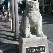はっこくの画像
