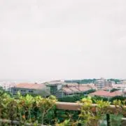 Naruの画像