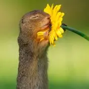 いーちゃんの画像