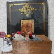 弥富文鳥の画像