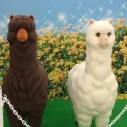 はなセレブの画像