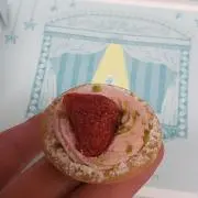 Shiroshibaの画像