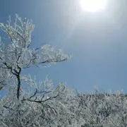 Satkenの画像
