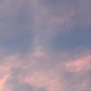 ゆゆの画像