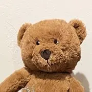 kuma_.の画像
