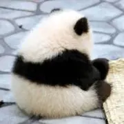 マミー