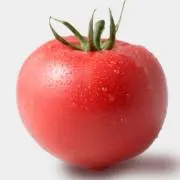 とめとの画像