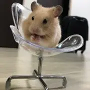 ⭐︎の画像