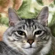 みーみ