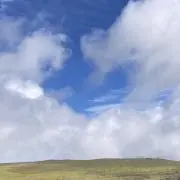 Naganoの画像