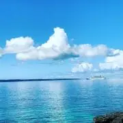 みかんの画像
