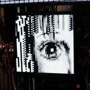 ザクロの画像
