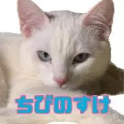 ＣＨI❤️ＢＩ