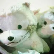 瓜