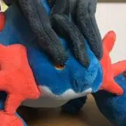 飛鳥の画像