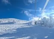 まぁの画像