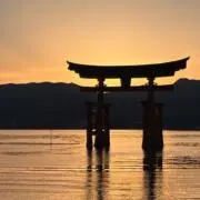 ayukorn＊の画像
