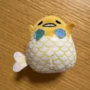 ひめめの画像