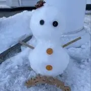 ぴよの画像