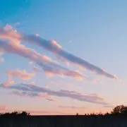 みの画像