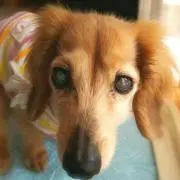 メイママ❤