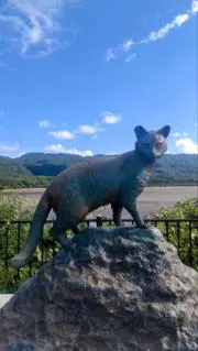 たらの画像