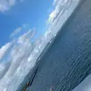 ソイの画像