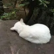 【プロフ必読】うずまきの画像