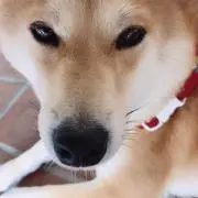 なみ
