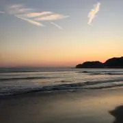 まつりの画像